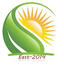 desun technology logo